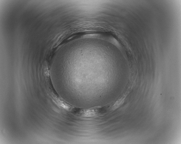 X0000066520384200603171224