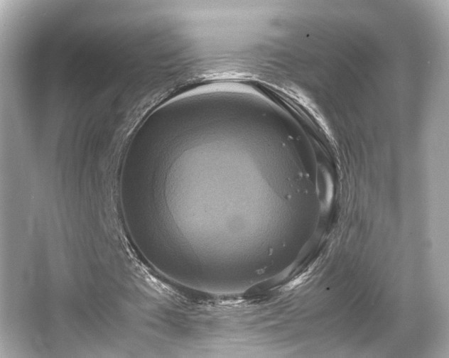 X0000066520385200603171224