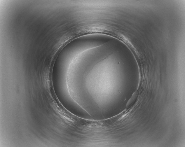 X0000066520386200603171224