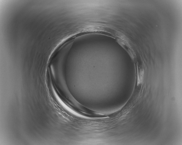 X0000066520387200603171224