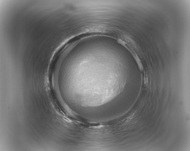 X0000066520388200603171224