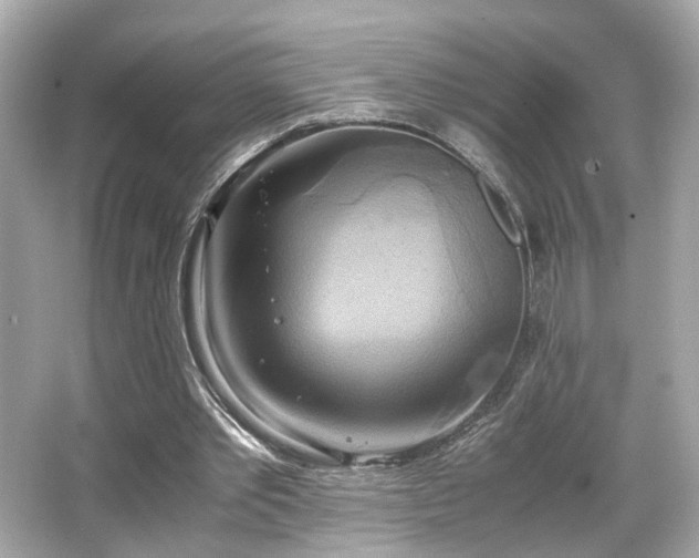 X0000066520389200603171224