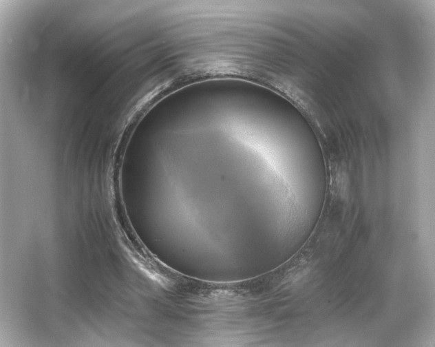 X0000066520390200603171224