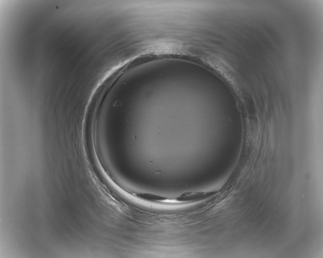 X0000066520391200603171224