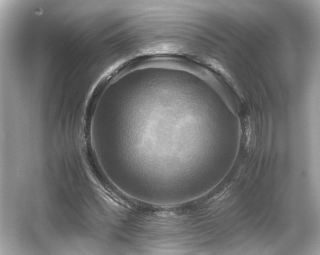 X0000066520392200603171224