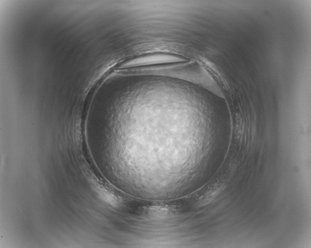 X0000066520394200603171223