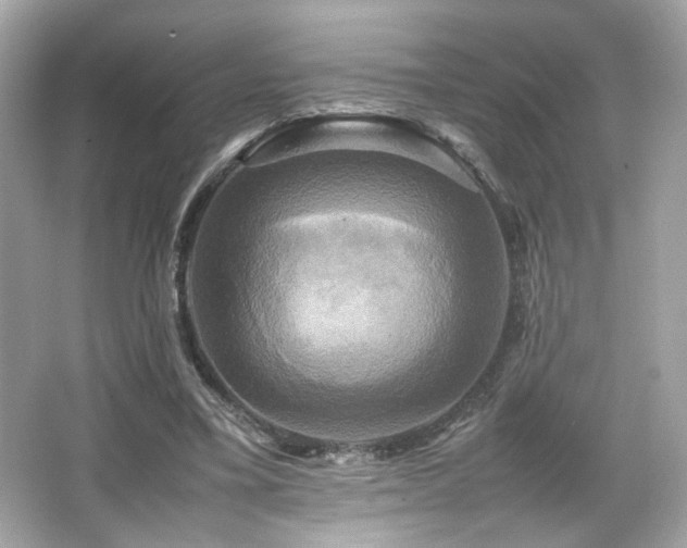 X0000066520395200603171223