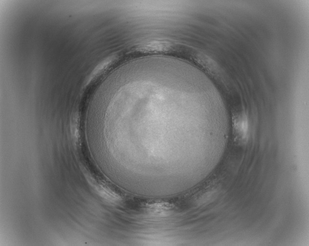 X0000066520396200603171223