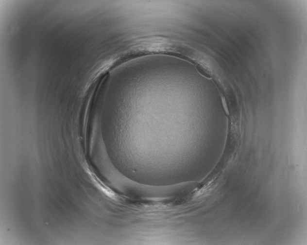 X0000066520397200603171223