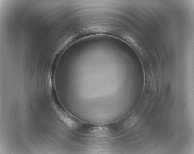 X0000066520398200603171223