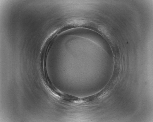 X0000066520399200603171223