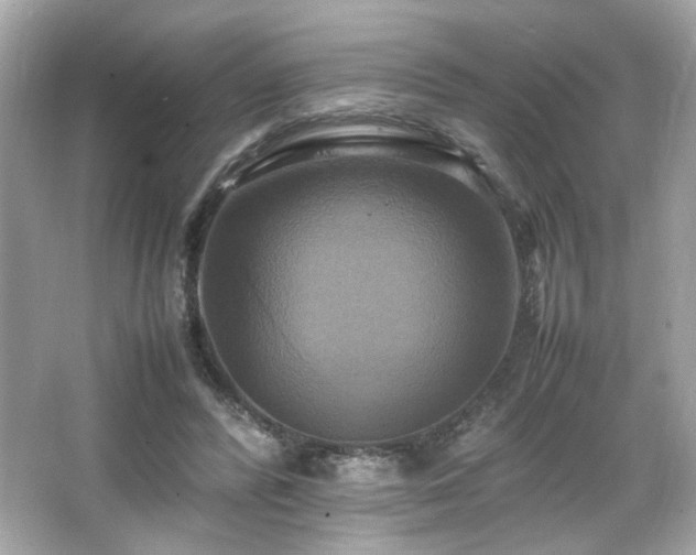 X0000066520400200603171223