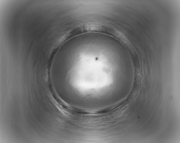 X0000066520401200603171223