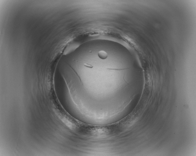 X0000066520402200603171223