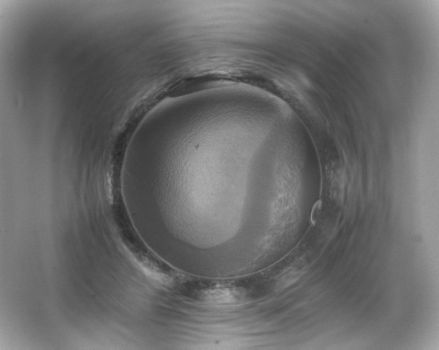 X0000066520404200603171223