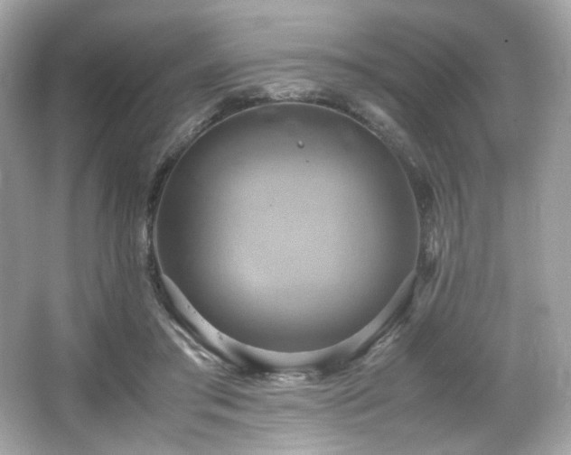 X0000066520405200603171223