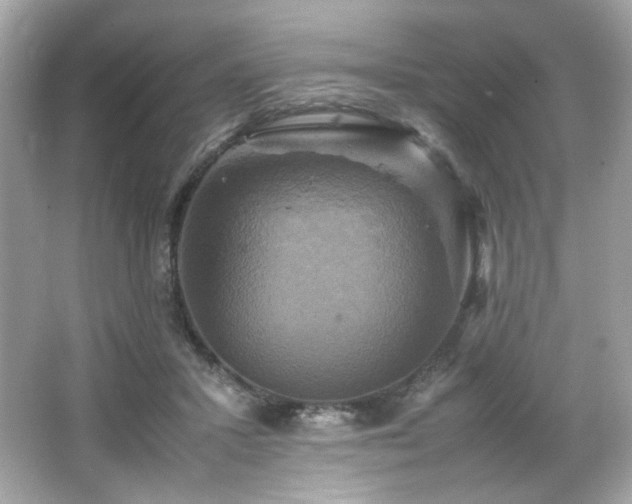 X0000066520407200603171223