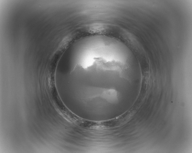 X0000066520408200603171223