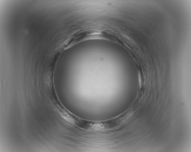 X0000066520409200603171223