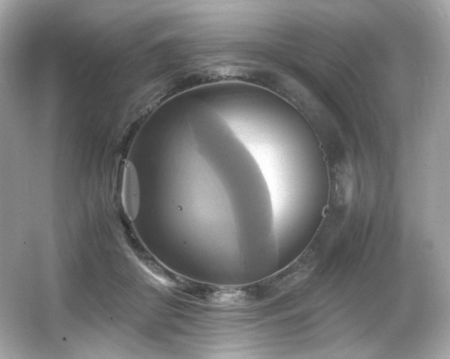 X0000066520410200603171223