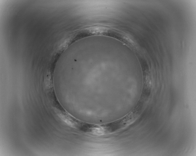 X0000066520411200603171223