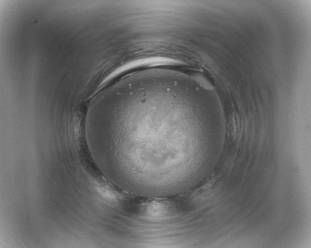 X0000066520412200603171223