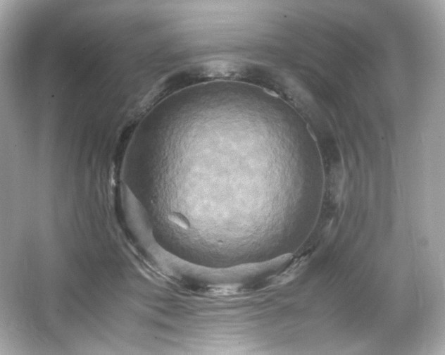 X0000066520413200603171223