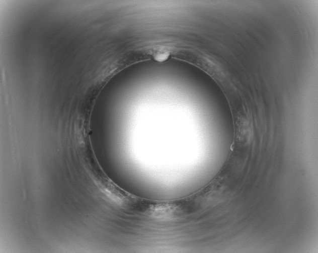 X0000066520414200603171223