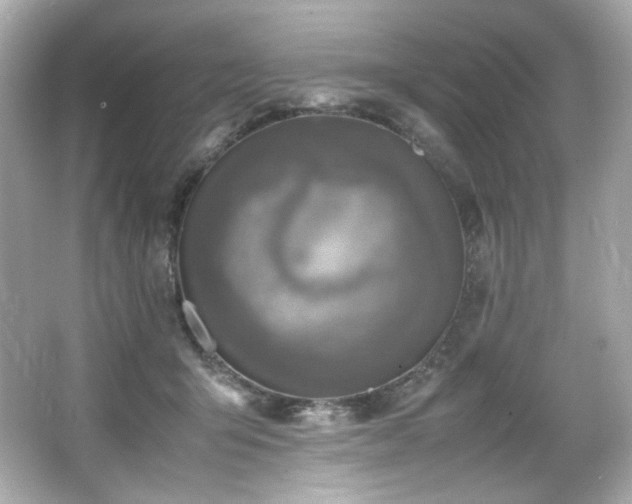 X0000066520415200603171223