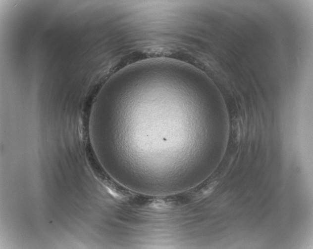 X0000066520416200603171223