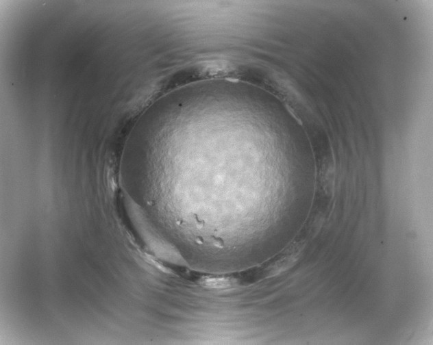 X0000066520417200603171223