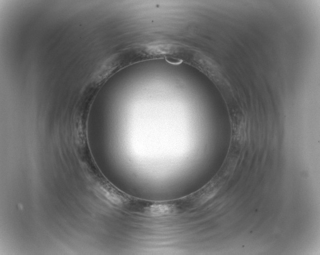 X0000066520418200603171223