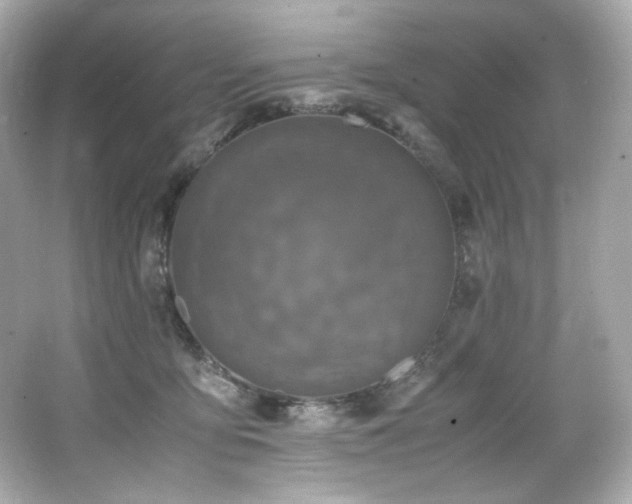 X0000066520419200603171223