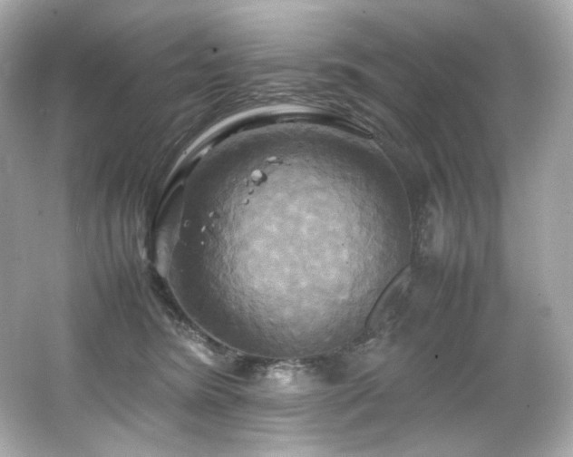 X0000066520420200603171223