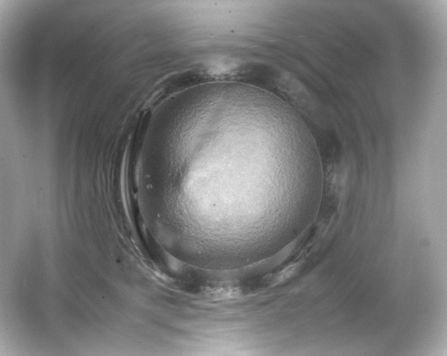 X0000066520421200603171223