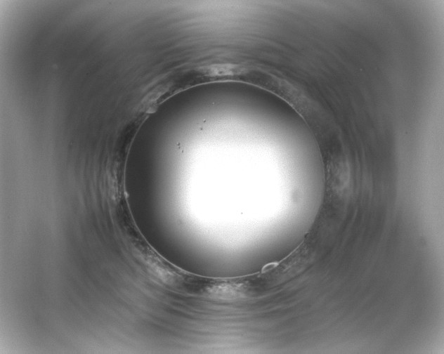 X0000066520422200603171223