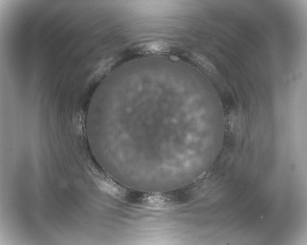 X0000066520423200603171223