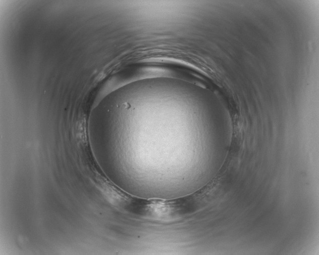 X0000066520425200603171223