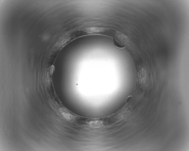 X0000066520426200603171223