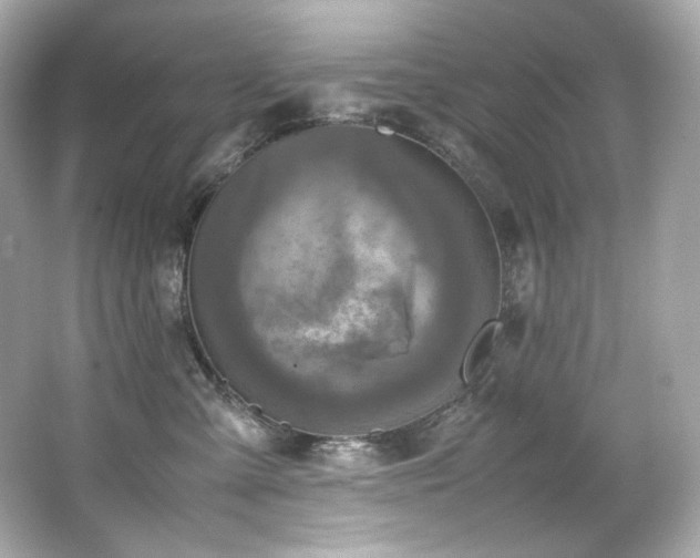 X0000066520427200603171223