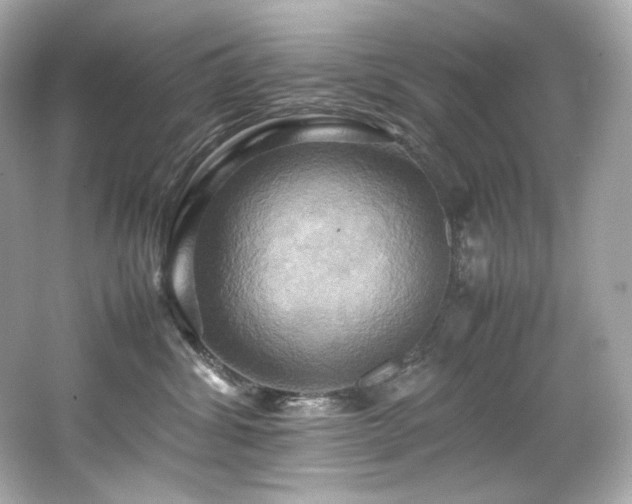 X0000066520428200603171223