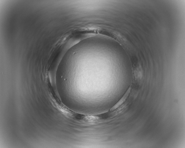 X0000066520429200603171223