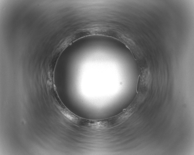 X0000066520430200603171223