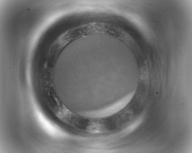 X0000066520431200603171223