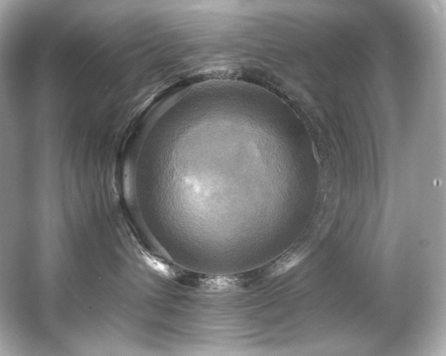 X0000066520432200603171223