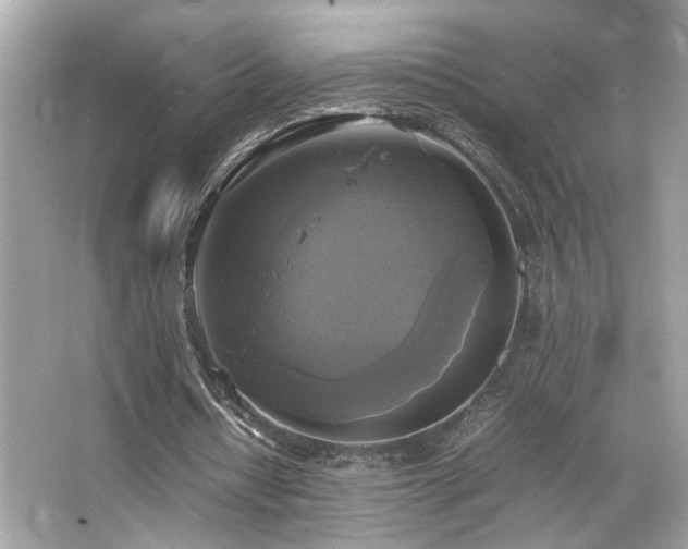 X0000066520434200603171222