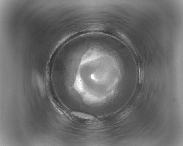 X0000066520435200603171222