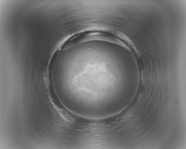 X0000066520436200603171222