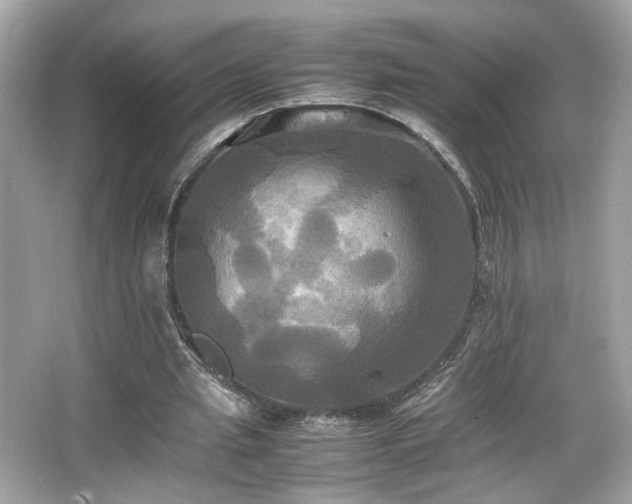 X0000066520437200603171222