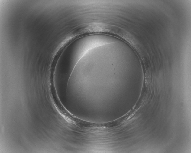 X0000066520438200603171222